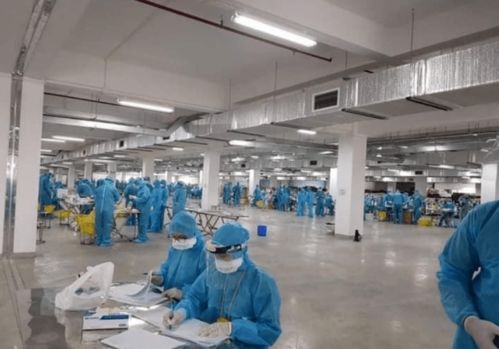 越南疫情警示 工廠聚集感染、瞞報與關聯行業的風險連鎖反應